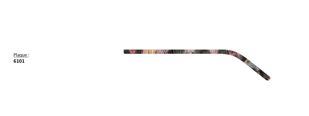 6101