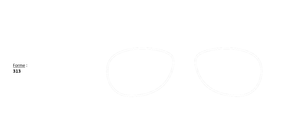 313