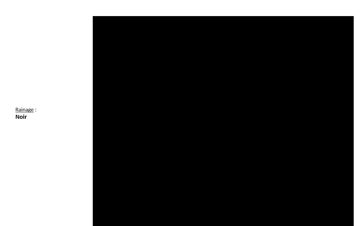 Noir